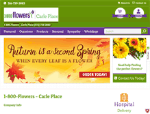 Tablet Screenshot of 1800flowerscarleplace.com